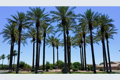 43982 W Garden Lane, Maricopa, AZ 85139 - Photo 34