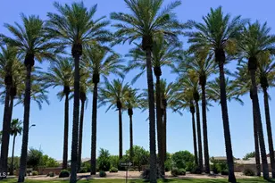 43982 W Garden Ln, Maricopa, AZ 85139 - Photo 34