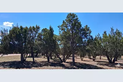 2790 Chandelle Lane #278, Overgaard, AZ 85933 - Photo 8