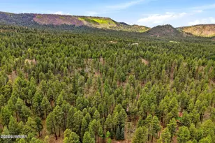 2 County Road 2050 --, Alpine, AZ 85920 - Photo 26