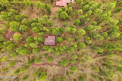 2 County Road 2050 --, Alpine, AZ 85920 - Photo 2