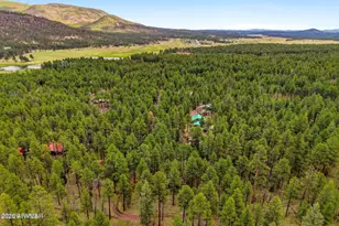 2 County Road 2050 --, Alpine, AZ 85920 - Photo 28