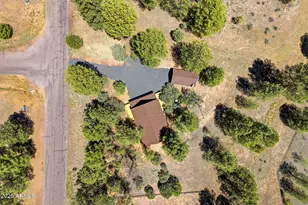 2905 Lodgepole Rd, Overgaard, AZ 85933 - Photo 36