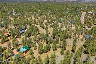 2905 Lodgepole Rd, Overgaard, AZ 85933 - Photo 38