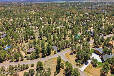 2905 Lodgepole Road, Overgaard, AZ 85933 - Photo 40
