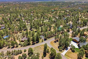 2905 Lodgepole Rd, Overgaard, AZ 85933 - Photo 40