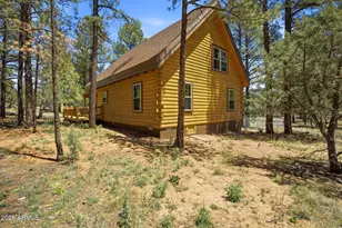 2905 Lodgepole Rd, Overgaard, AZ 85933 - Photo 34