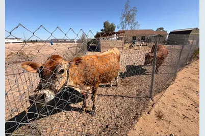 34206 W Wayland Drive, Tonopah, AZ 85354 - Photo 30
