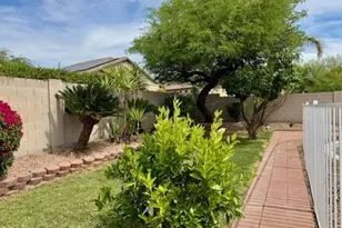 7798 E Buteo Dr, Scottsdale, AZ 85255 - Photo 12