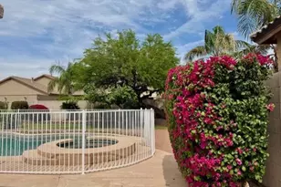 7798 E Buteo Dr, Scottsdale, AZ 85255 - Photo 10
