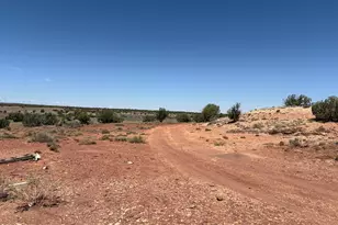 156 N9046, Concho, AZ 85924 - Photo 6