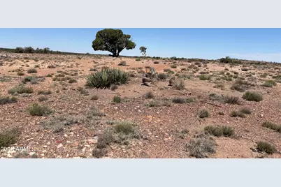 156 N9046 --, Concho, AZ 85924 - Photo 8