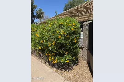4810 W Manzanita Drive, Glendale, AZ 85302 - Photo 12