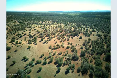 15726 High Tank Road #768, Williams, AZ 86046 - Photo 18
