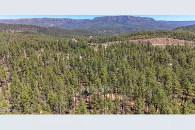 112 W Raven Road, Payson, AZ 85541 - Photo 36