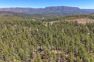 112 W Raven Rd, Payson, AZ 85541 - Photo 36