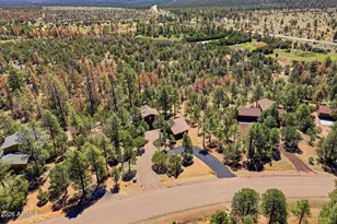 2763 Chandelle Ln, Overgaard, AZ 85933 - Photo 36