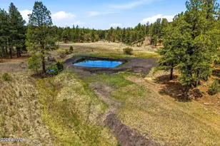 28 County Rd 2310, Alpine, AZ 85920 - Photo 12