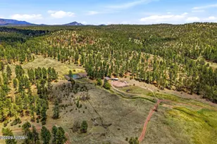 28 County Rd 2310, Alpine, AZ 85920 - Photo 46