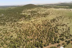 Tbd Acr N3263 Parcel 1 --, Vernon, AZ 85940 - Photo 1