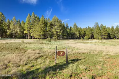 259 E Foxboro Road #7, Munds Park, AZ 86017 - Photo 34