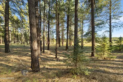 259 E Foxboro Road #7, Munds Park, AZ 86017 - Photo 28