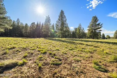 454 W Clay Park Way #24, Munds Park, AZ 86017 - Photo 24
