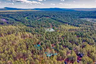2982 Hummingbird Ln, Pinetop, AZ 85935 - Photo 2