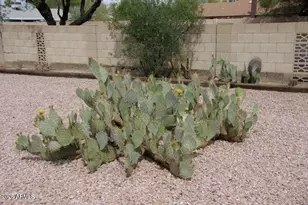 11643 S Iroquois Dr, Phoenix, AZ 85044 - Photo 22