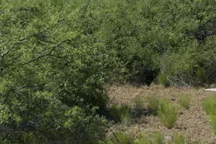 1830 Sable Ridge Rd, Clarkdale, AZ 86324 - Photo 1