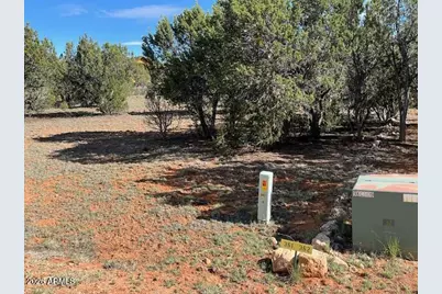 2277 Sunrise Road #361, Overgaard, AZ 85933 - Photo 6