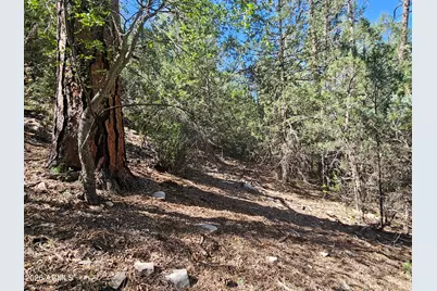 3054 N Neal Drive #4, Payson, AZ 85541 - Photo 6
