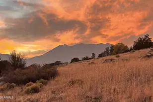 8140_8200 Sleeping Dog Rd, Flagstaff, AZ 86004 - Photo 46