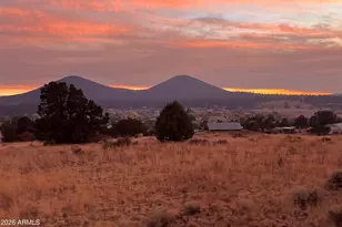 8140_8200 Sleeping Dog Rd, Flagstaff, AZ 86004 - Photo 48