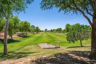 17164 W Hedgehog Pl, Surprise, AZ 85387 - Photo 48