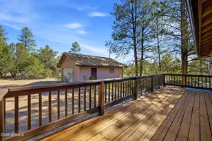 1924 1924 Little Doe Trail, Overgaard, AZ 85933 - Photo 22