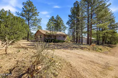 1924 1924 Little Doe Trail, Overgaard, AZ 85933 - Photo 1