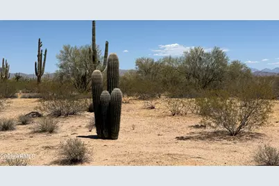 Lot 4 S Cactus Garden Way #4, Marana, AZ 85653 - Photo 2