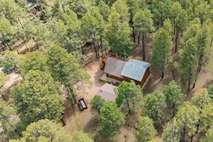 2233 Mulberry Dr, Forest Lakes, AZ 85931 - Photo 36