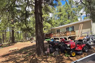 196 N Spitz Spring Rd, Parks, AZ 86018 - Photo 14