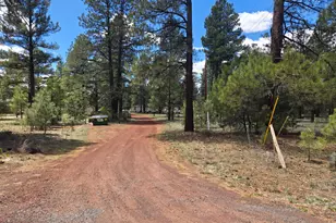 196 N Spitz Spring Rd, Parks, AZ 86018 - Photo 2