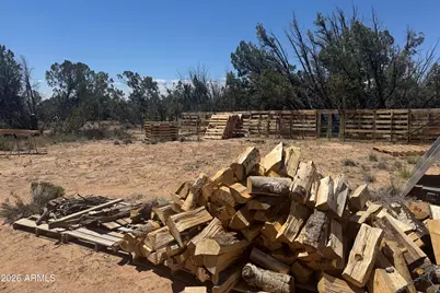 Lot 70 Red Sky Ranch -- #070, Saint Johns, AZ 85936 - Photo 6