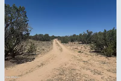 Lot 70 Red Sky Ranch -- #070, Saint Johns, AZ 85936 - Photo 14