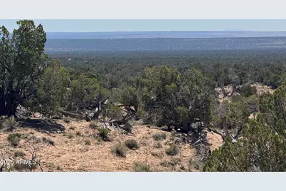 Lot 70 Red Sky Ranch -- #070, Saint Johns, AZ 85936 - Photo 12