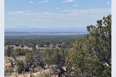 Lot 70 Red Sky Ranch -- #070, Saint Johns, AZ 85936 - Photo 10
