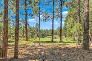 2108 Emma Leslie, Flagstaff, AZ 86005 - Photo 10