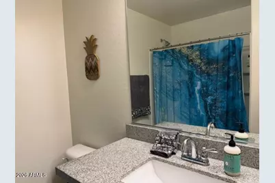 17952 N 114th Lane, Surprise, AZ 85378 - Photo 40