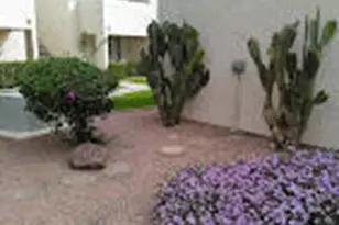 1920 W Lindner Ave S, Mesa, AZ 85202 - Photo 4
