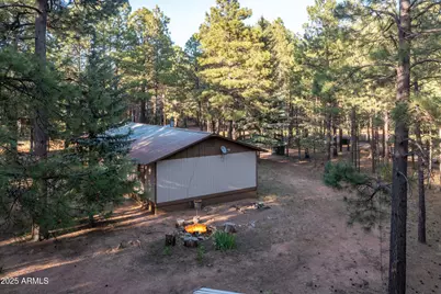 2190 Old Rim Road, Forest Lakes, AZ 85931 - Photo 22