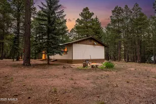 2190 Old Rim Rd, Forest Lakes, AZ 85931 - Photo 30